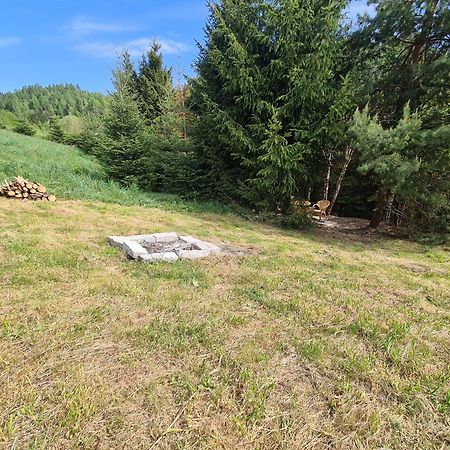 Pod Laskiem Krosnica  Kültér fotó